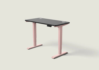 Ladda upp bild till gallerivisning, HomePro skrivbord