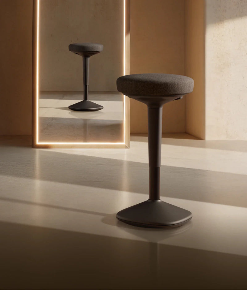 Aktiv sittpall