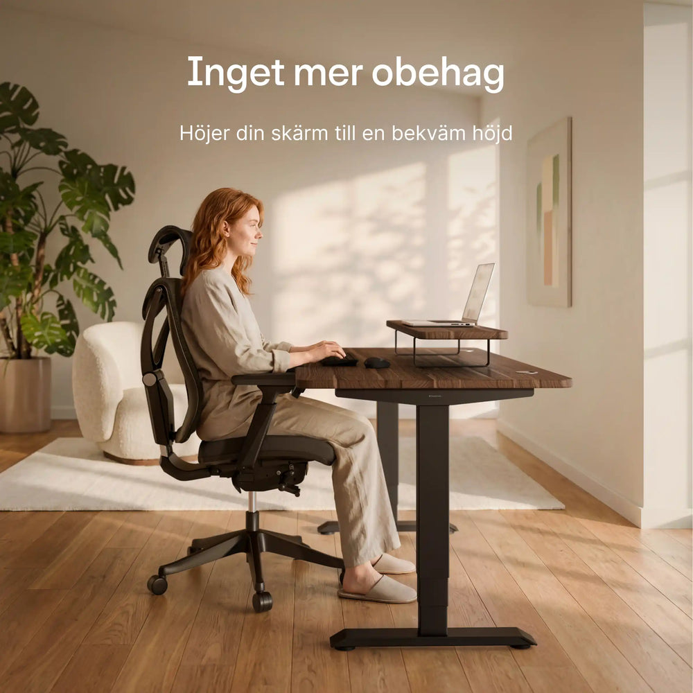 Skärmställ