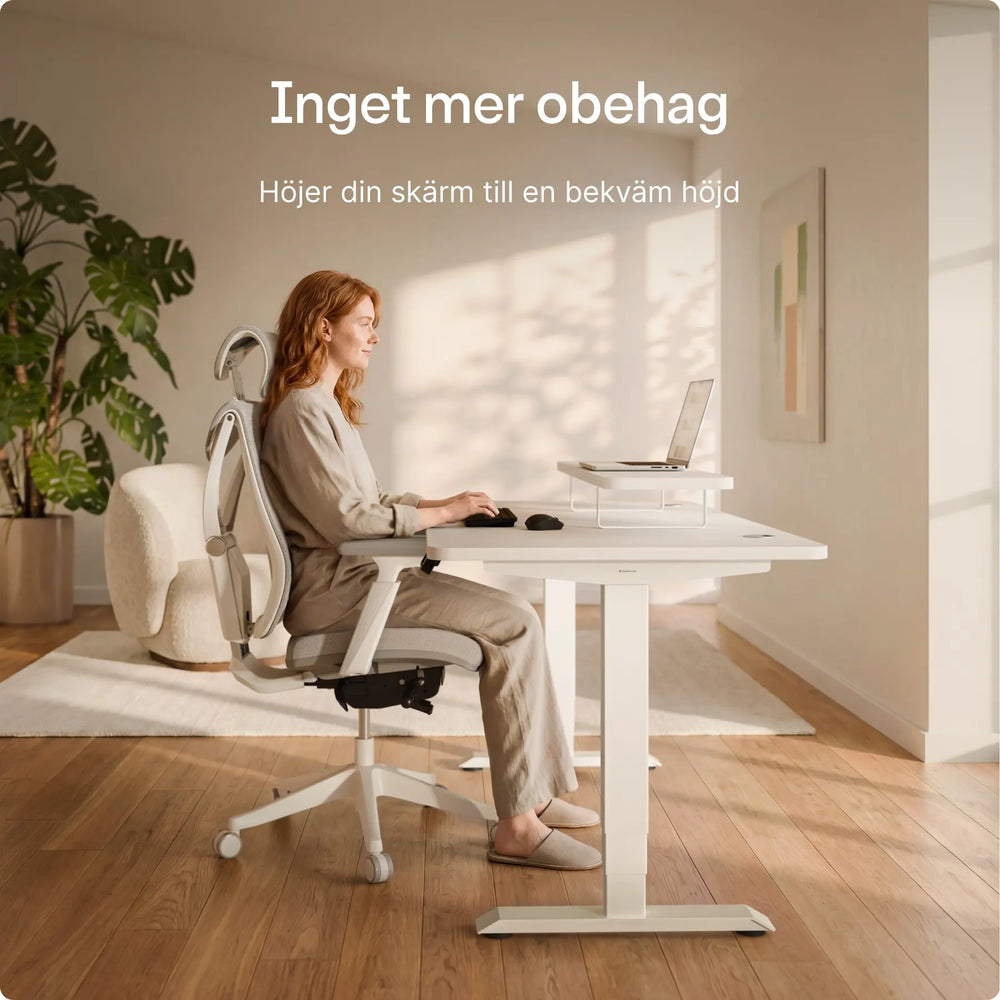 Skärmställ