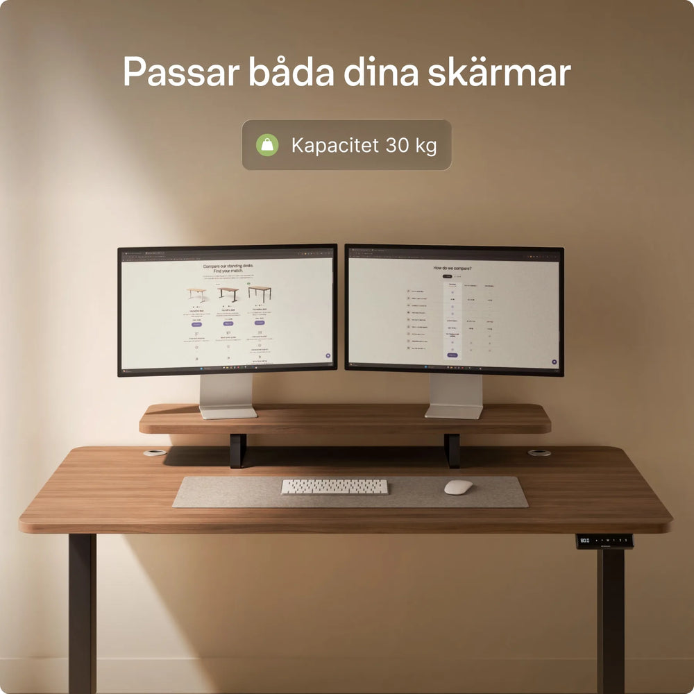 Skärmställ