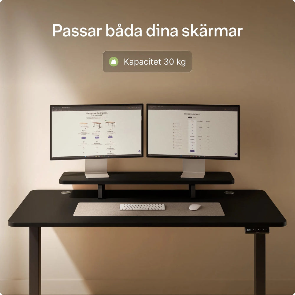 Skärmställ