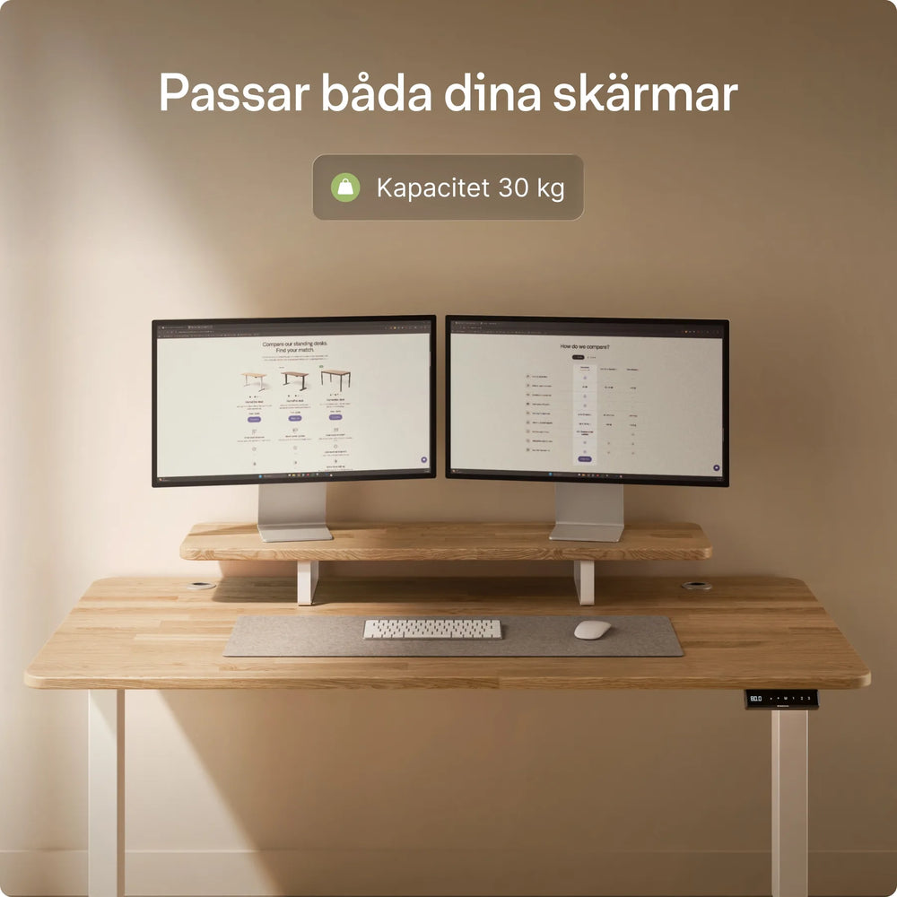 Skärmställ
