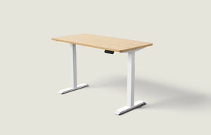 HomeOne skrivbord